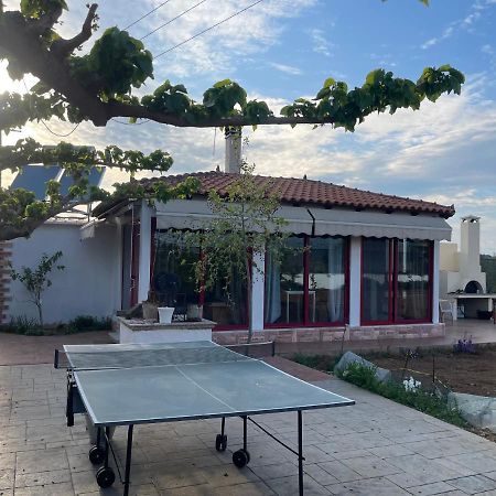 Country Lux Apartment Near Airport Markopoulo Mesogaias Bagian luar foto