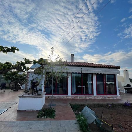 Country Lux Apartment Near Airport Markopoulo Mesogaias Bagian luar foto