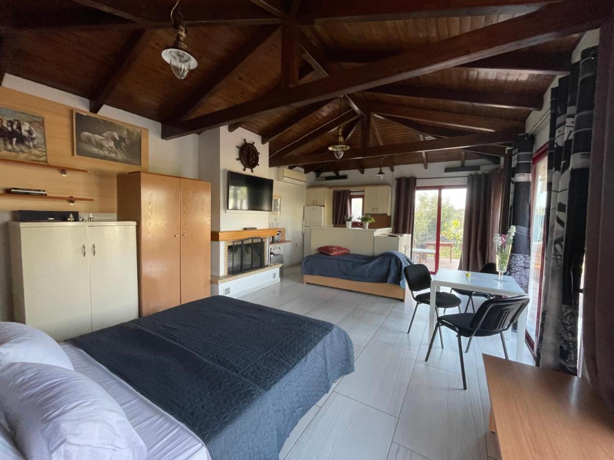 Country Lux Apartment Near Airport Markopoulo Mesogaias Bagian luar foto