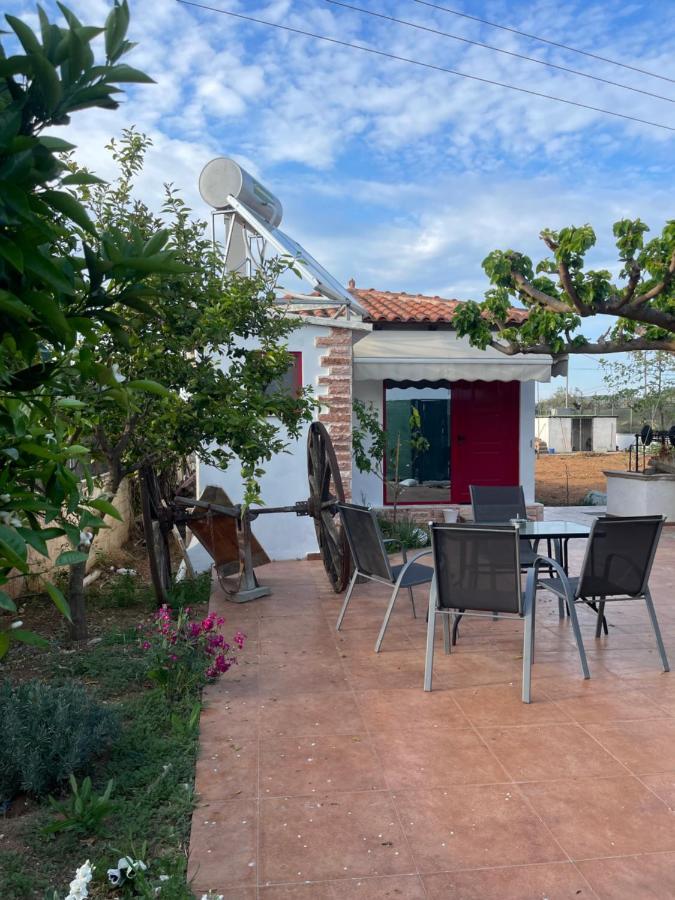 Country Lux Apartment Near Airport Markopoulo Mesogaias Bagian luar foto