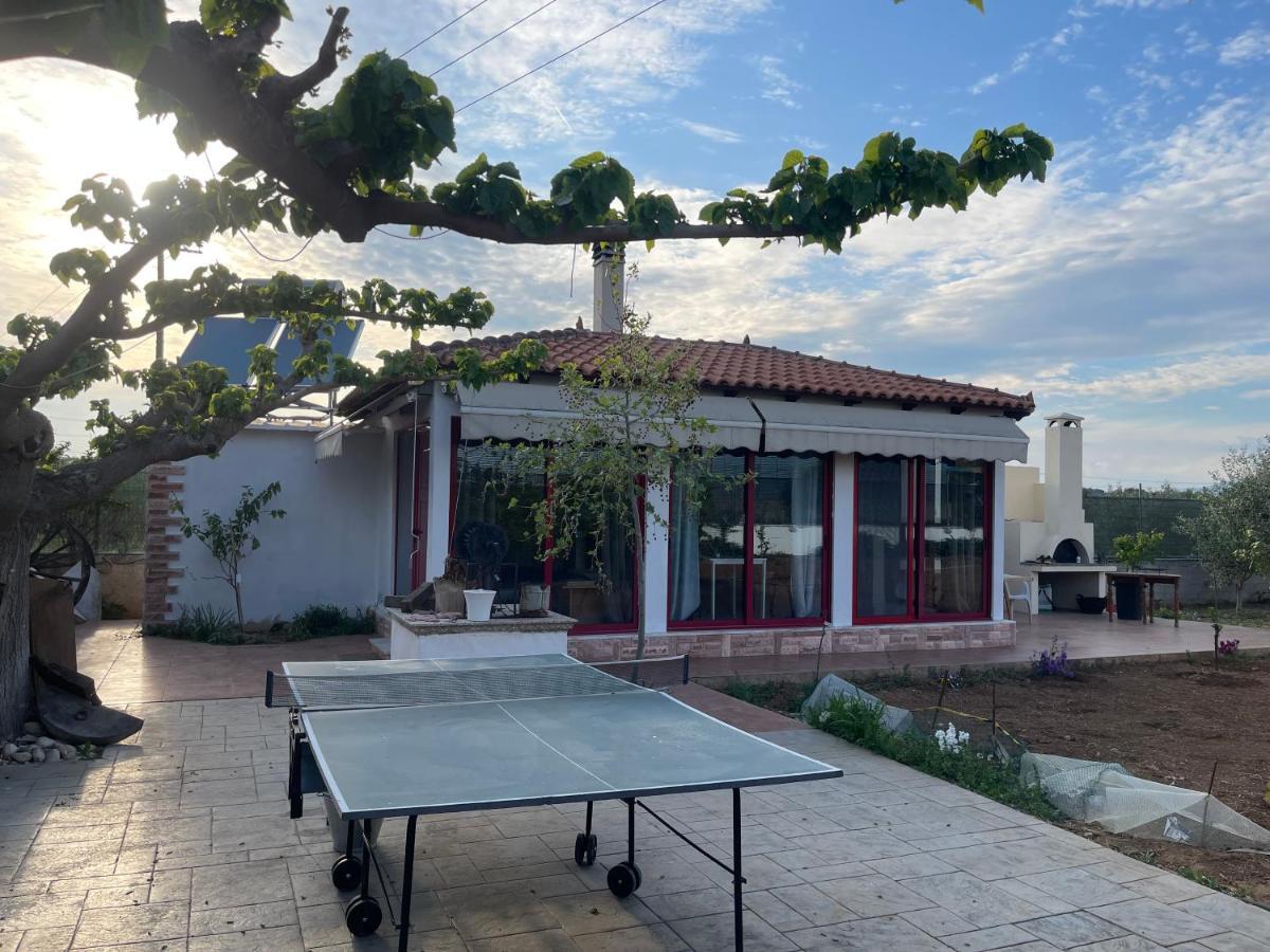 Country Lux Apartment Near Airport Markopoulo Mesogaias Bagian luar foto
