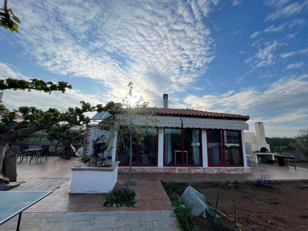Country Lux Apartment Near Airport Markopoulo Mesogaias Bagian luar foto