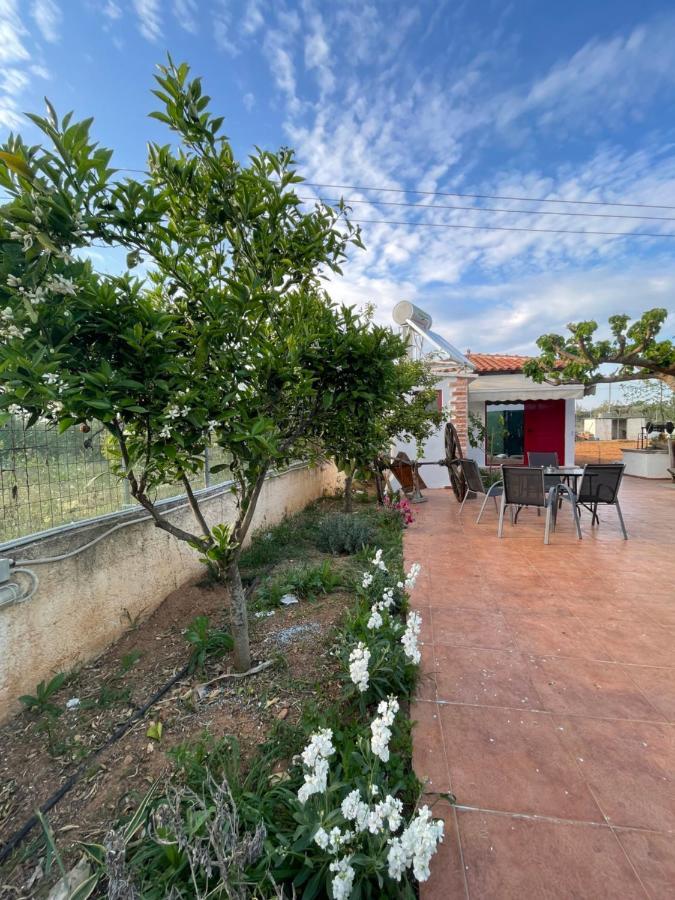 Country Lux Apartment Near Airport Markopoulo Mesogaias Bagian luar foto